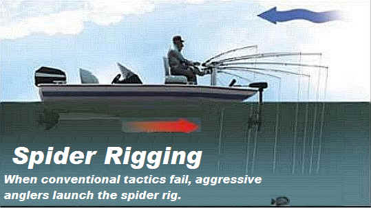 Correct Weight for Spider-Rigging